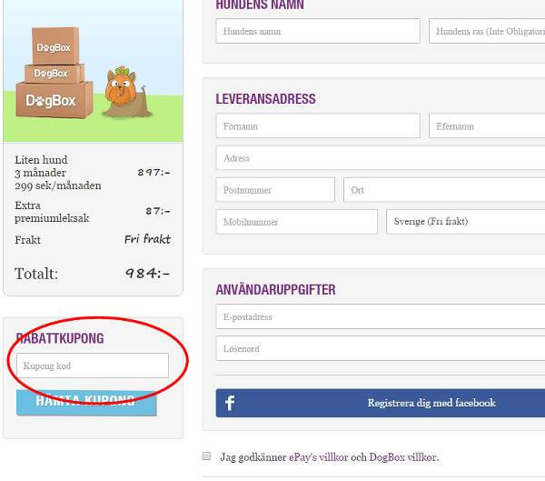 Du ser tydligt var rabattkupongskoden ska in
