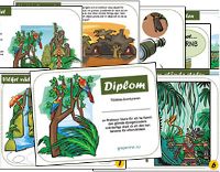 Ett djungeldiplom fÃ¶r duktiga djungelpatruller
