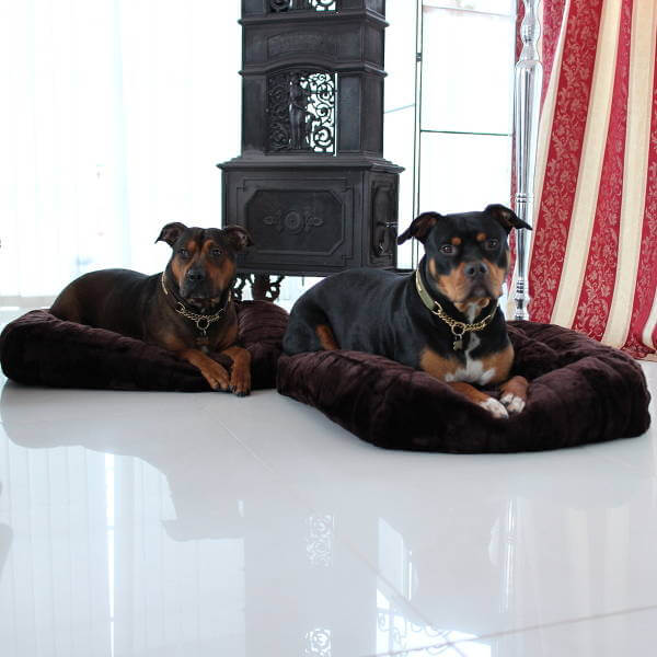 Varför inte köpa en ny säng åt hundarna? Passa på att slå in presenten i ett fiffigt paket. 