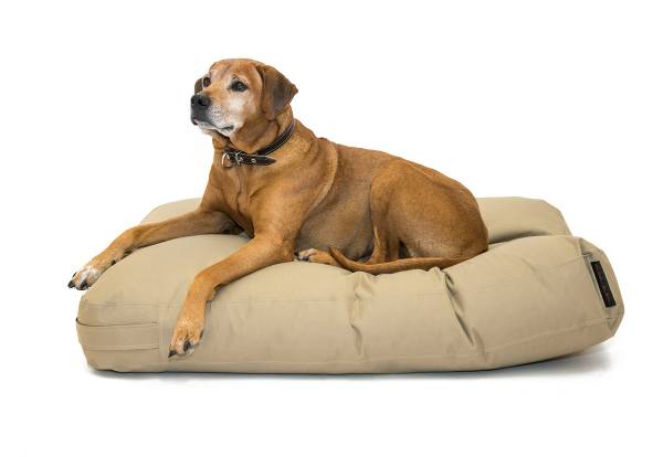 Här får hunden någonstans att ligga. 